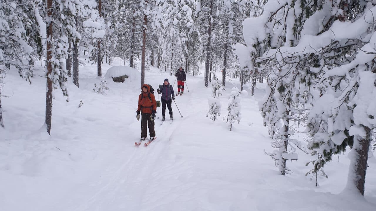 Laget i Jokkmokk på väg till Getbergets fågelmatning.