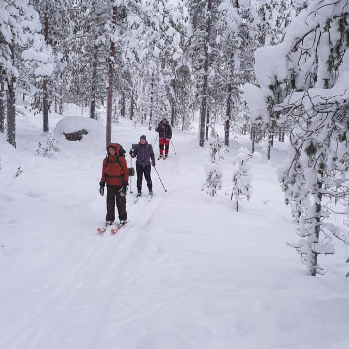 Laget i Jokkmokk på väg till Getbergets fågelmatning.