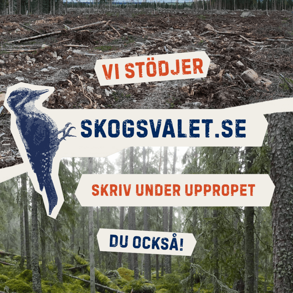 Skogsvalet 2026