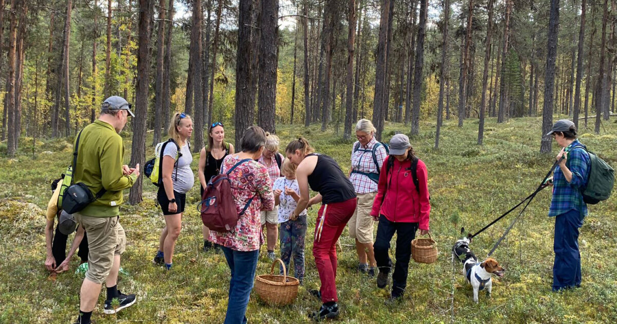 Svampexkursion i Jokkmokk